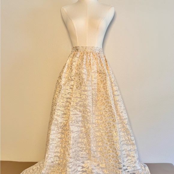 Anthropologie PANKAJ & NIDHI Burnout Shimmer Maxi Skirt Women’s Sz S Shimmer - Picture 7 of 11